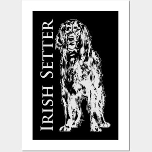 Irish Setter Dog Posters and Art